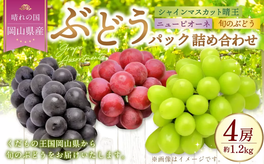 岡山県産 ぶどうパック詰合せ ※3種4パックセット （ ニューピオーネ ・ シャインマスカット ・ 旬のぶどう ） 【2025年9月上旬～10月下旬発送予定】 ／ ぶどう ブドウ 葡萄 種なし 種無し ピオーネ マスカット 晴王 はるお 旬の葡萄 フルーツ 果物 くだもの 果実