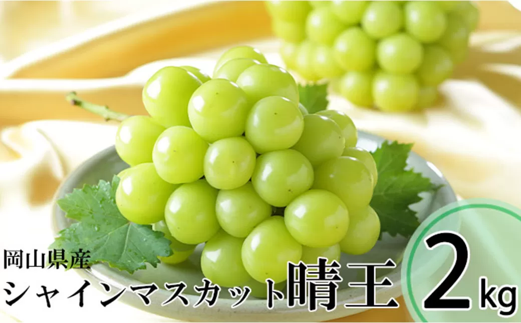 シャインマスカット 晴王 3～6房 計約2kg 【2025年8月下旬～11月下旬迄発送】 ／ マスカット 葡萄 ぶどう 果物 果実 フルーツ 種なし 皮ごと 大粒 岡山県 美咲町 冷蔵