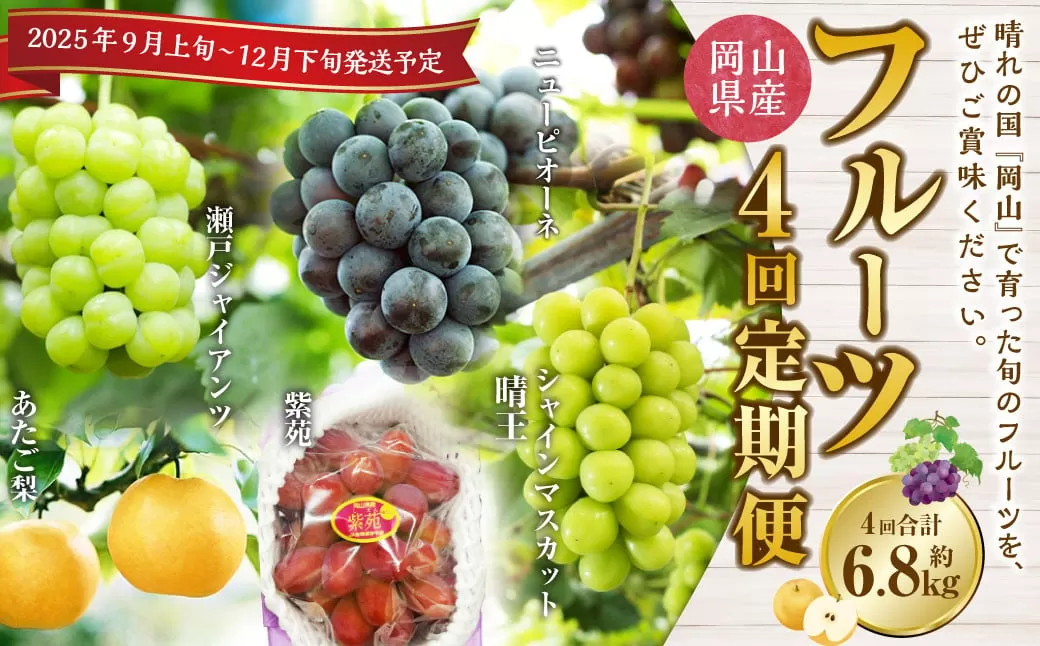 【4回定期便】岡山県産 フルーツ定期便コース （ニューピオーネ ・ シャインマスカット ・ 紫苑 ・ あたご梨） 【2025年9月上旬発送開始】 ／ 4回 葡萄 ぶどう マスカット 晴王 梨 なし 果物 果実 フルーツ 旬 定期便 岡山県 美咲町 冷蔵 常温