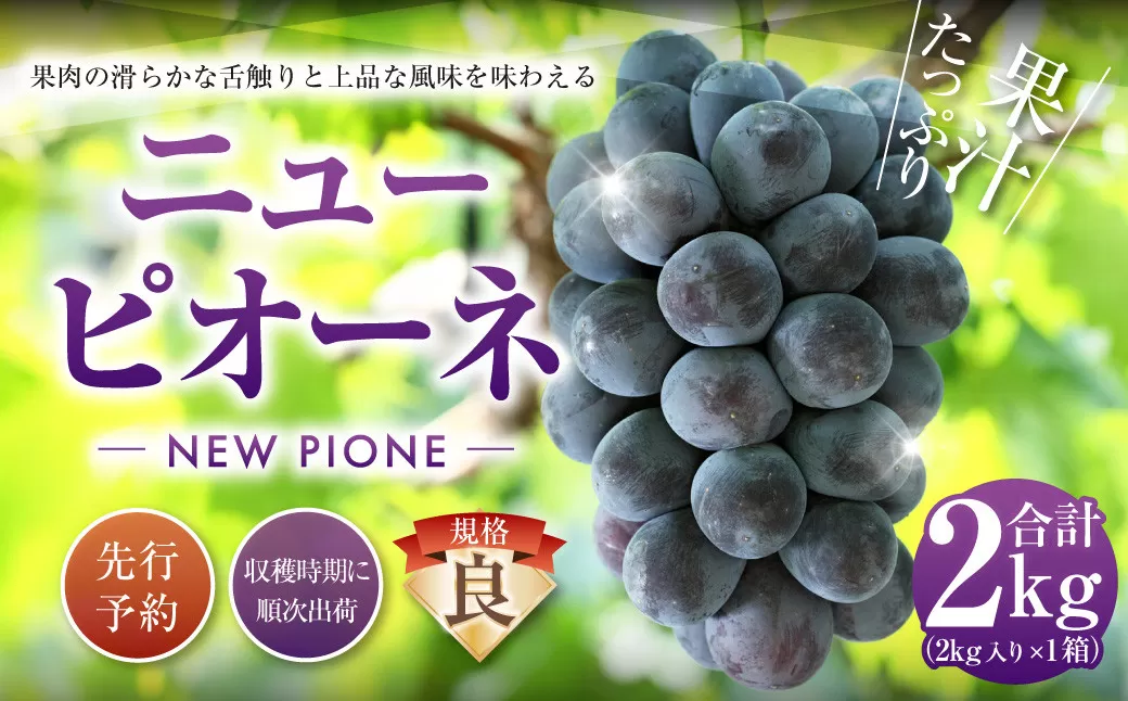 ニューピオーネ（良） 2kg ぶどう 葡萄 フルーツ 果物 岡山県 岡山県産 2025年 先行予約 【2025年9月上旬-9月下旬発送予定】
