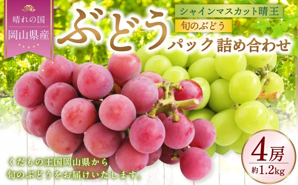 岡山県産 ぶどうパック詰合せ ※2種4パックセット （ シャインマスカット ・ 旬のぶどう ） 【2025年9月上旬～11月下旬発送予定】 ／ ぶどう ブドウ 葡萄 種なし 種無し マスカット 晴王 はるお 旬の葡萄 フルーツ 果物 くだもの 果実