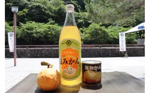 みかん 加工品 セット 萩名産 夏みかん マーマレード 370g×5個 ＆ 夏みかん ジュース 900ml×2本 柑橘類｜HG001058