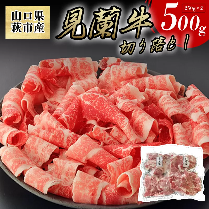 【数量限定】山口県萩市産 見蘭牛 切り落とし 500g (250g×2)国産  肉 お肉 牛｜HG000068