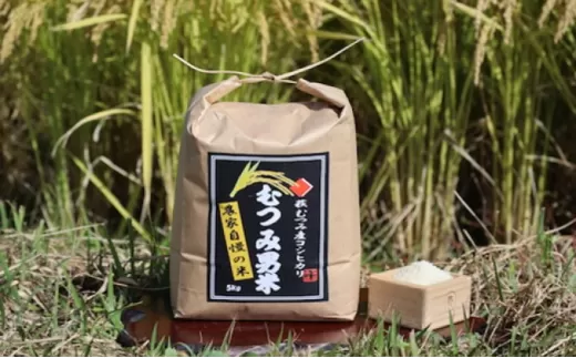 むつみ男米 白米 5kg|HG000413