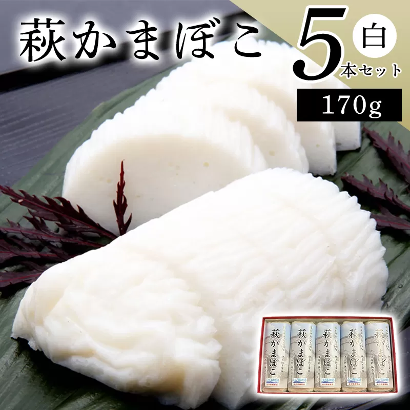 萩かまぼこ 170g 白5本【化粧箱入】（国産鮮魚エソ100％）｜HG000076