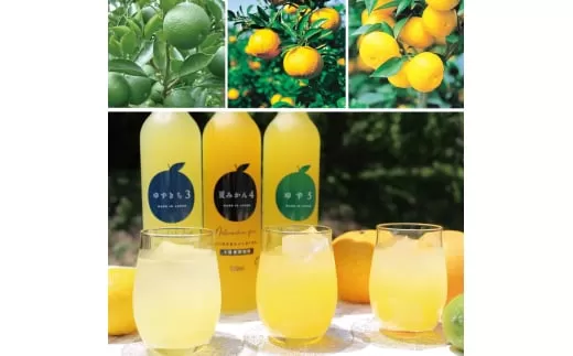 柑橘 ジュース 濃厚希釈 山口県産 3種セットB 500ml×6本 セット /夏みかん 柚子 ゆずきち｜HG000825