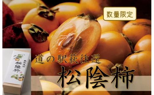 150年の時を超えた／松陰柿｜HG000433