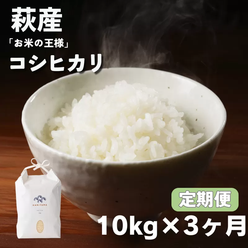定期便 3か月 コシヒカリ 令和7年 10kg 米 コメ こめ 萩産 KAMITAMA｜HG0T0585
