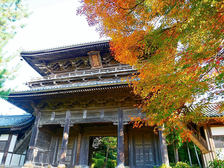 歴史深い寺院を染める紅葉と光の魔法