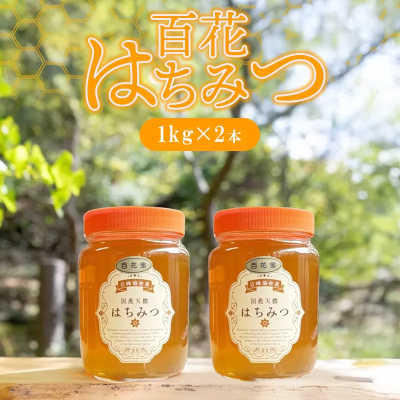 純粋天然　百花はちみつ　1kg×2本｜HG001063