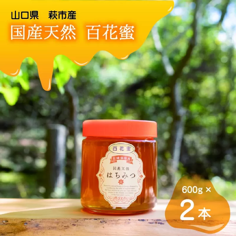 純粋天然　百花はちみつ　600g×2本｜HG001061