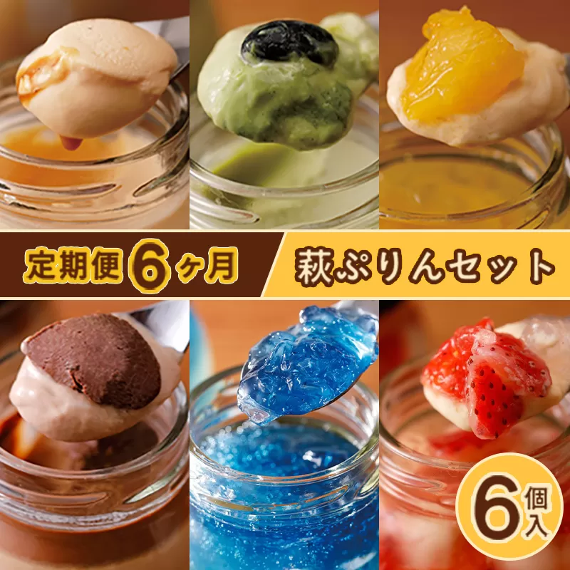 定期便 6ヶ月 プリン セット 食べ比べ 6個入 萩ぷりん亭 定番セット デザート お菓子 6回 お楽しみ ※配送不可：離島｜HG0T0878