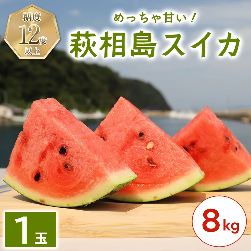 スイカ 約8kg 萩・夏の銘品 相島 西瓜 秀品 大玉すいか フルーツ 果物 果物類 贈答品 ギフト