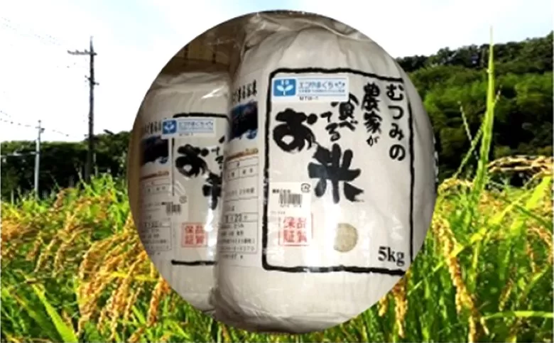 農家が食べてるお米「コシヒカリ」5kg×2｜HG000136