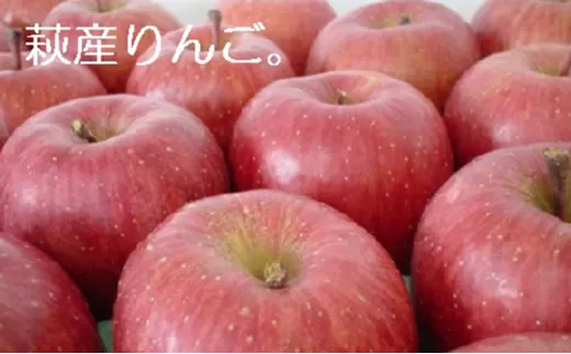 リンゴ 詰め合わせ 萩りんご 萩産 季節の品種  約6〜7玉｜HG000201