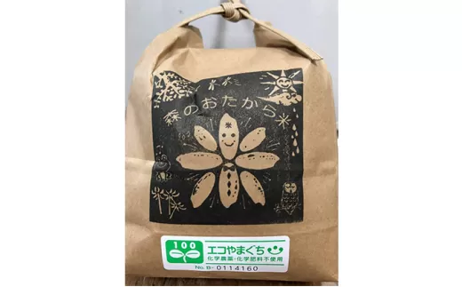 米 白米 10kg 自然栽培米 朝日 山口県産 コメ 米 精米｜HG000417