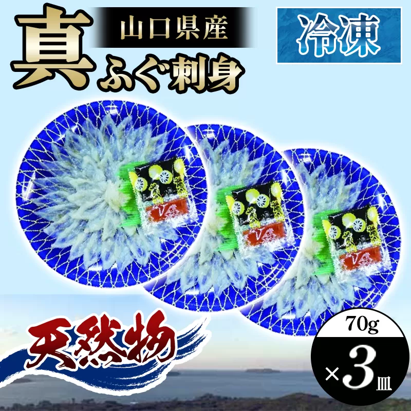 山口県産 真ふぐ 刺身 210g (70g×3皿)|HG000205