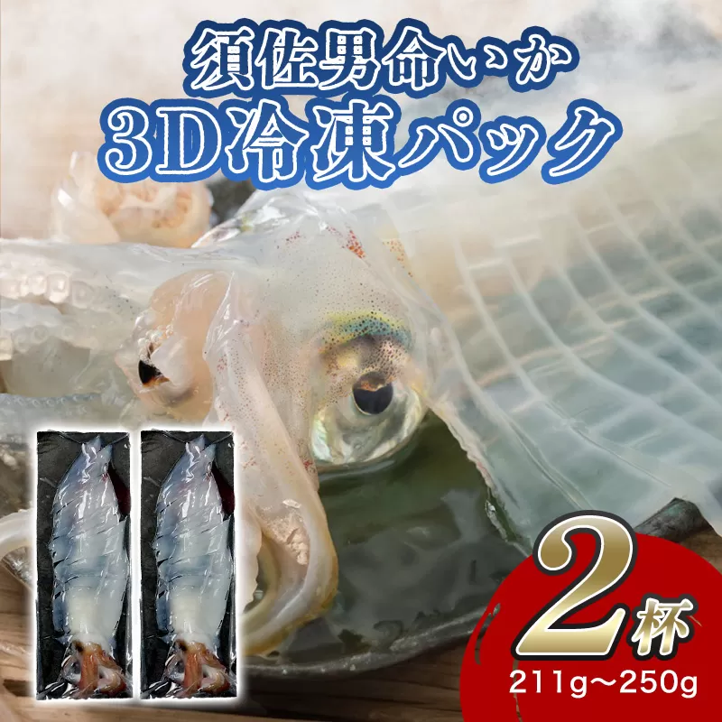 自宅で透明感を再現！須佐男命いかの姿造り（刺身）特殊冷却「3D冷凍」パック 2個セット｜HG000428