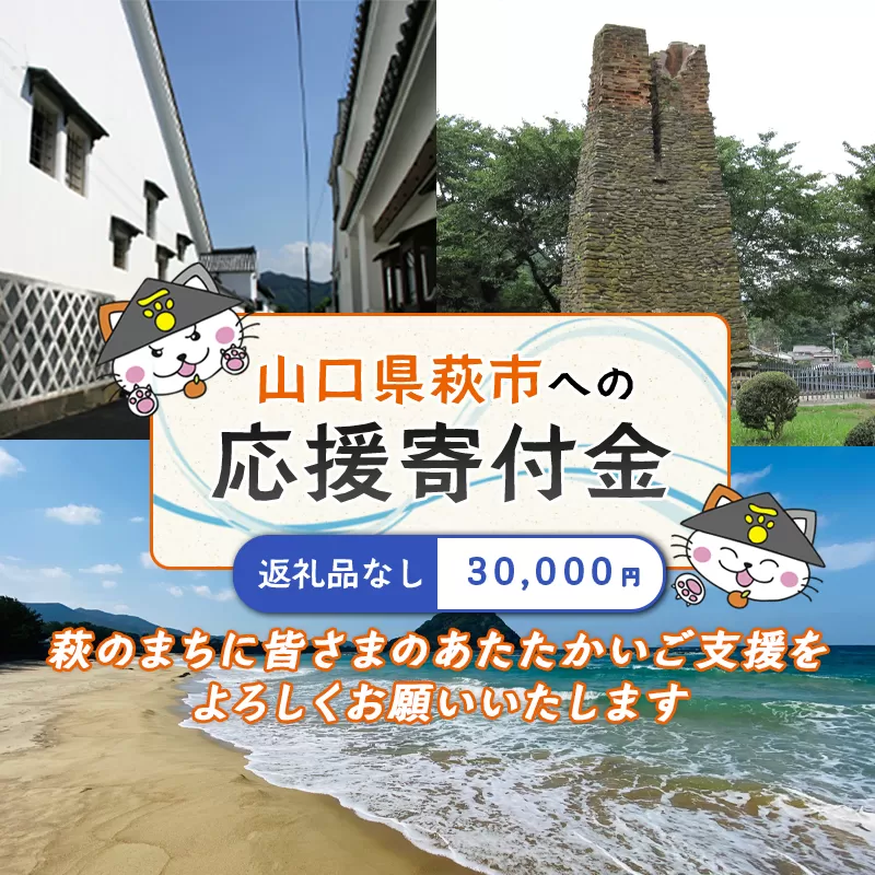 萩市応援寄付金 寄付金額30,000円分 |HGH00124