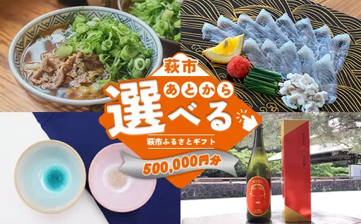 あとから選べる!萩市ふるさとギフト 寄付金額500,000円分 |HGH00119