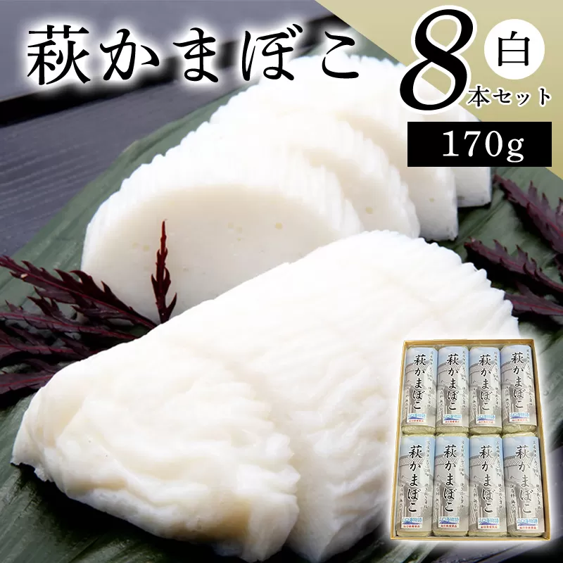 エソ100%「萩かまぼこ」170g 白8本 【化粧箱入】(国産鮮魚エソ100%)