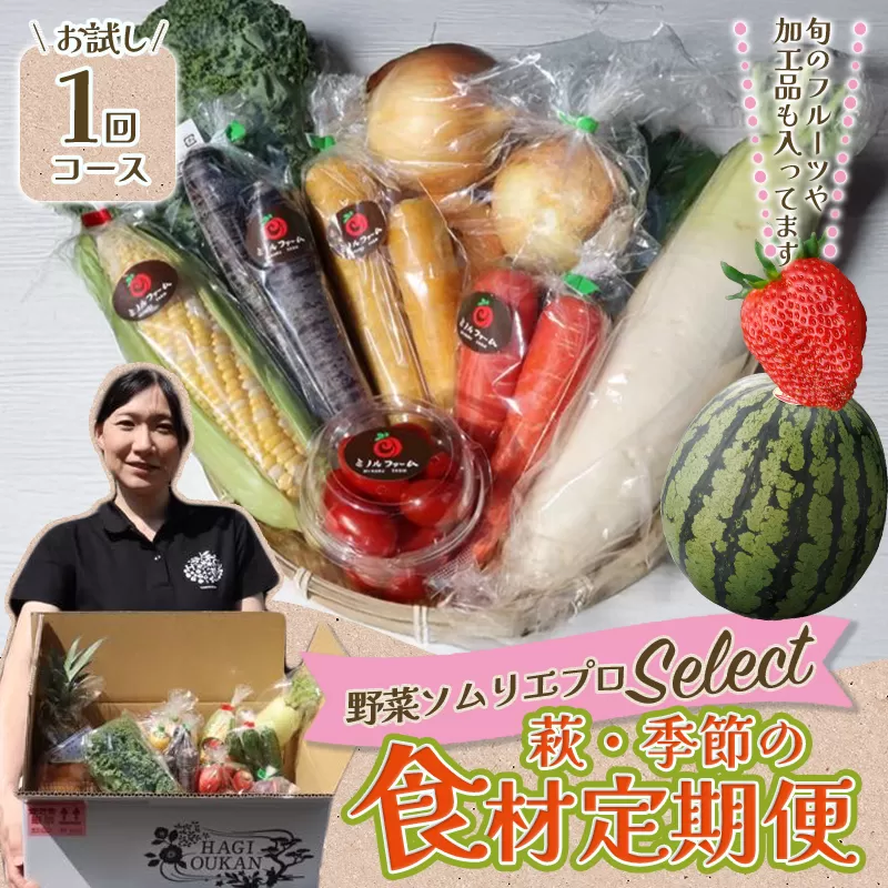 野菜ソムリエプロselect／萩・季節の食材セット　定期便お試し1回コース｜HG000601