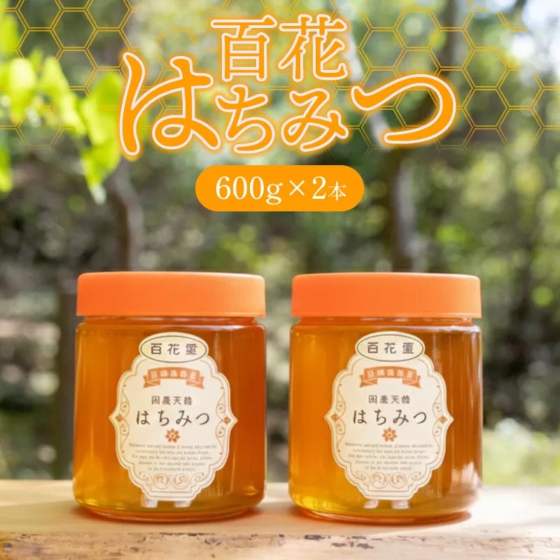 純粋天然　百花はちみつ　600g×2本｜HG001061