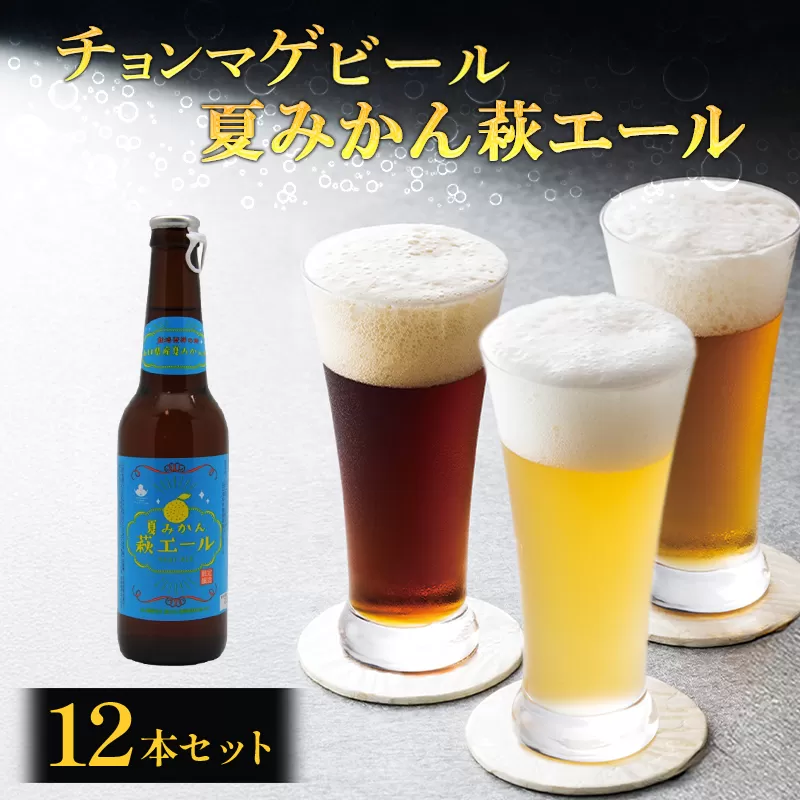 城下町・萩の地ビール／夏みかん萩エール12本セット｜HG0005-B