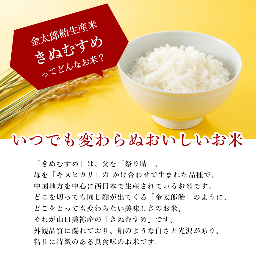 金太郎飴生産米 きぬむすめ 山口美祢産｜山口県美祢市｜美祢市｜山口県