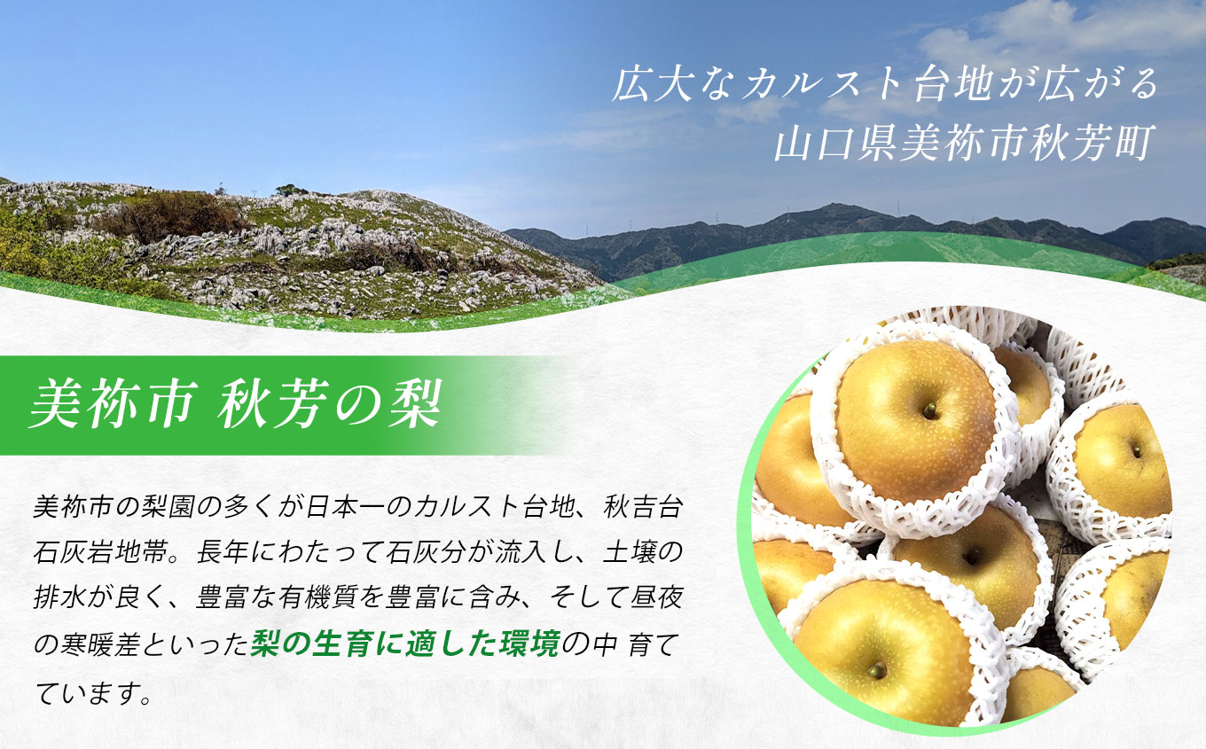 ふるさと納税 シナモロール美祢市オリジナルデザイン ぬいぐるみ