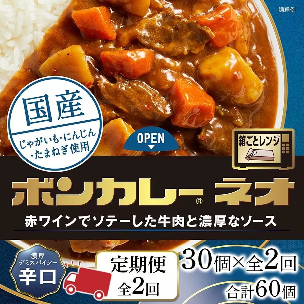 【定期便 全2回】ボンカレーネオ 濃厚デミスパイシー(辛口)　30個×2回　計60個