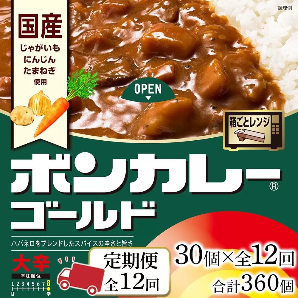 【定期便 全12回】ボンカレーゴールド（大辛）30個×12回　計360個