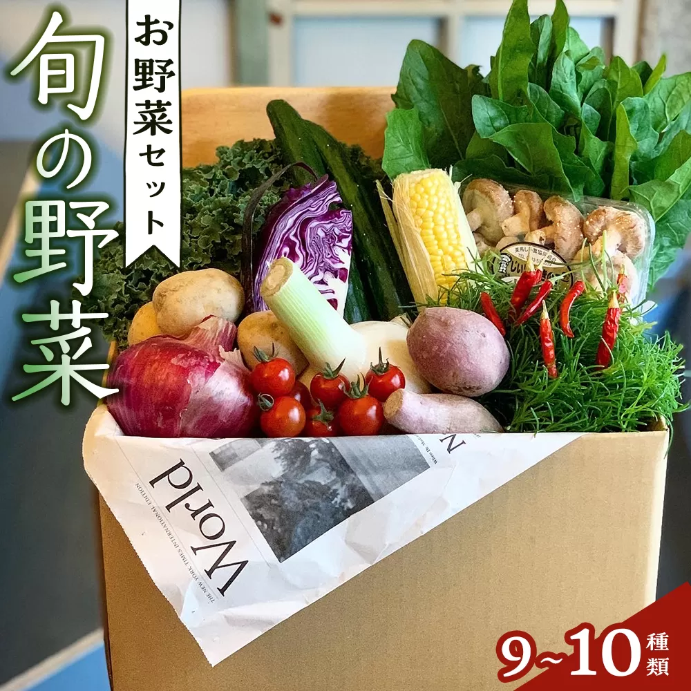野菜セット 旬の野菜 （9~10種類)