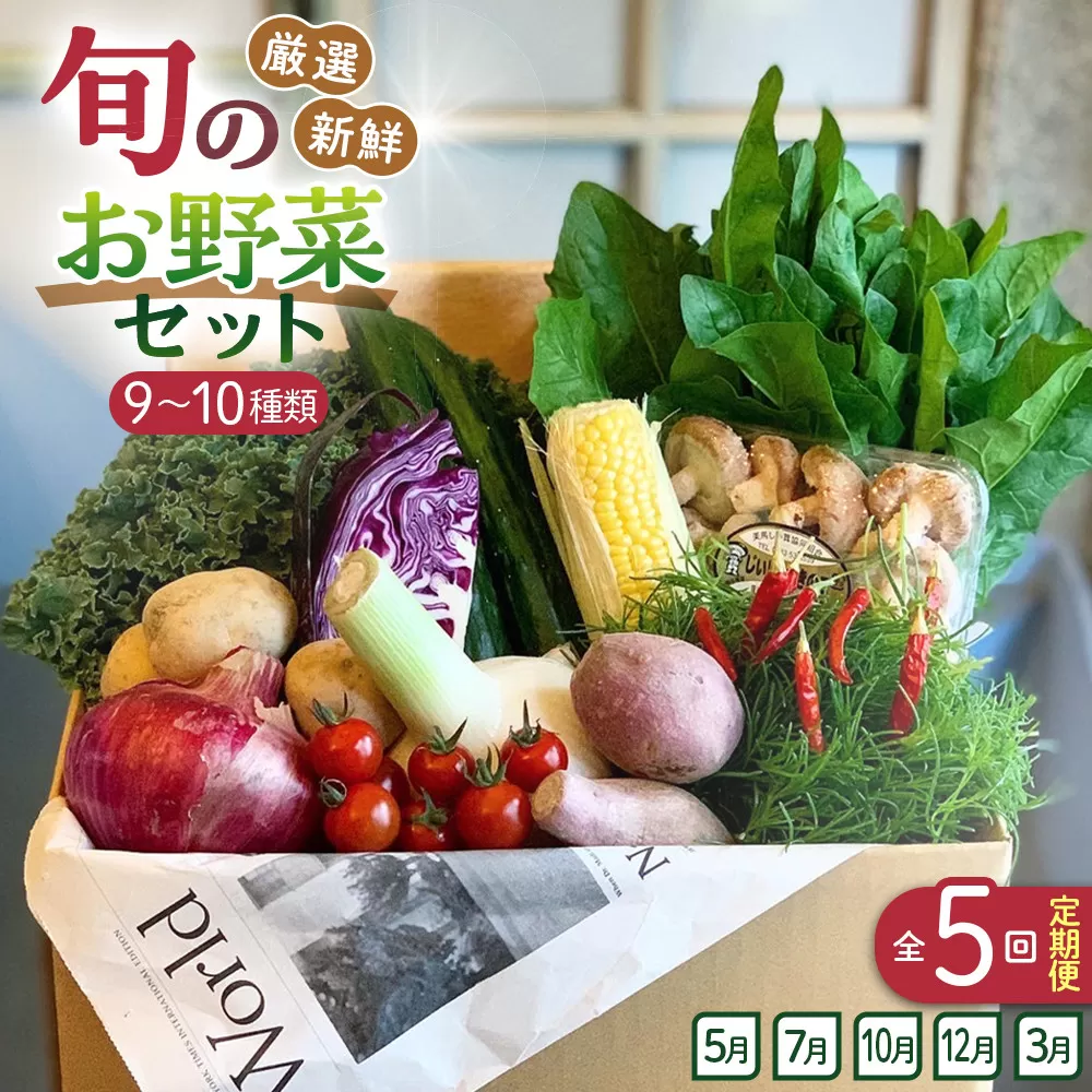 【全5回定期便】野菜セット 旬の野菜 （9~10種類)
