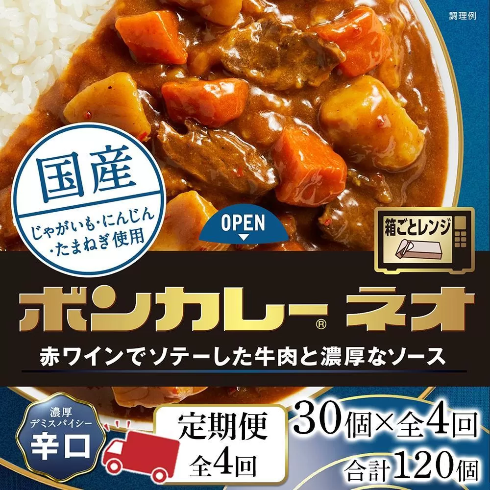 【定期便 全4回】ボンカレーネオ 濃厚デミスパイシー(辛口)　30個×4回　計120個