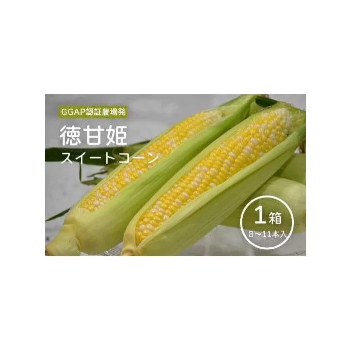 期間限定 先行予約 スイートコーン 朝採れ  (8～11本）【徳甘姫】 とうもろこし