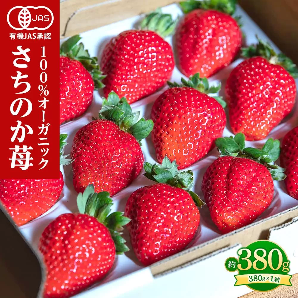 とくしまオーガニックいちご 大粒12～15粒（約380g）１箱