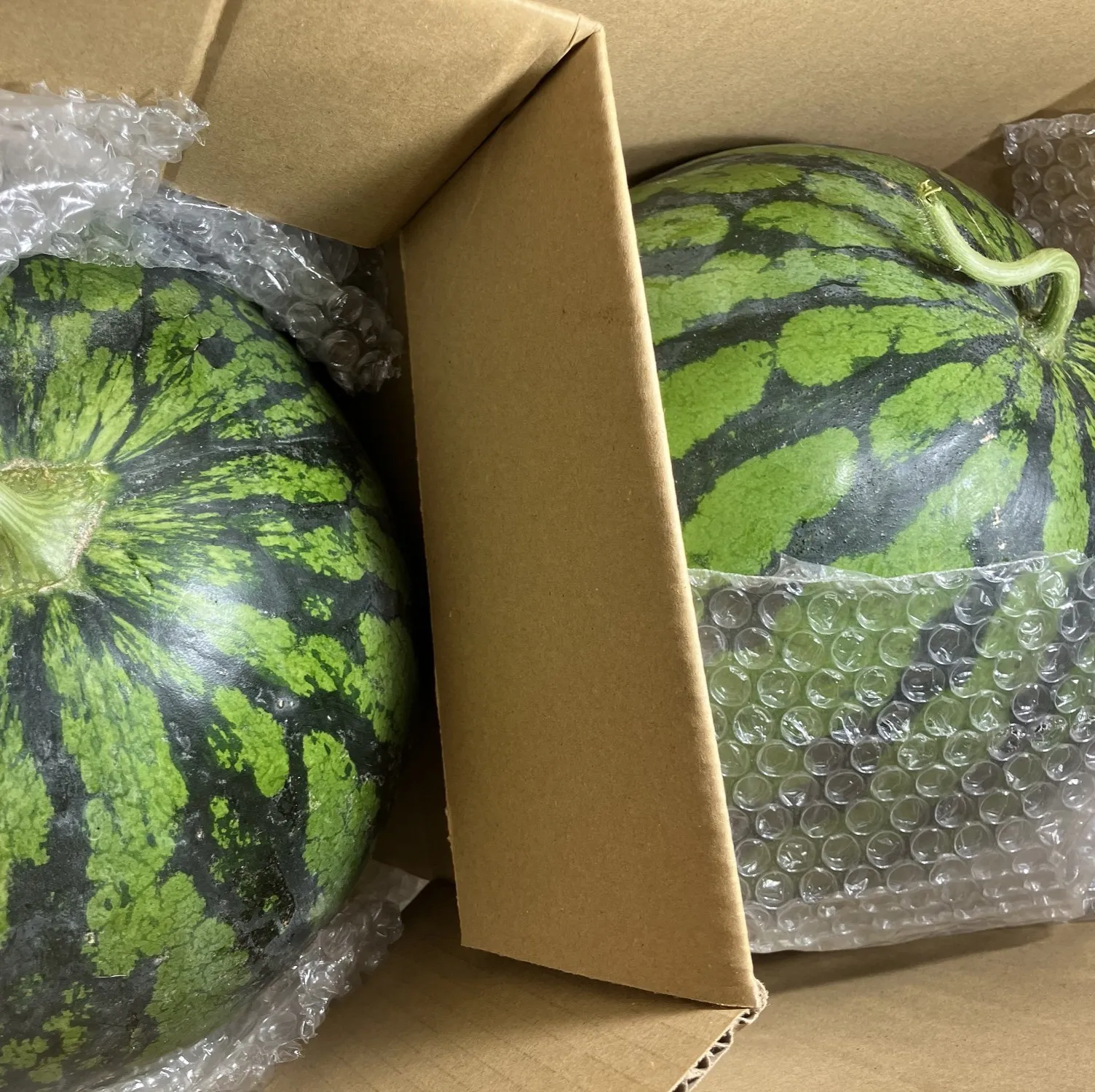 すいか（羅皇）2玉 約5kg×2