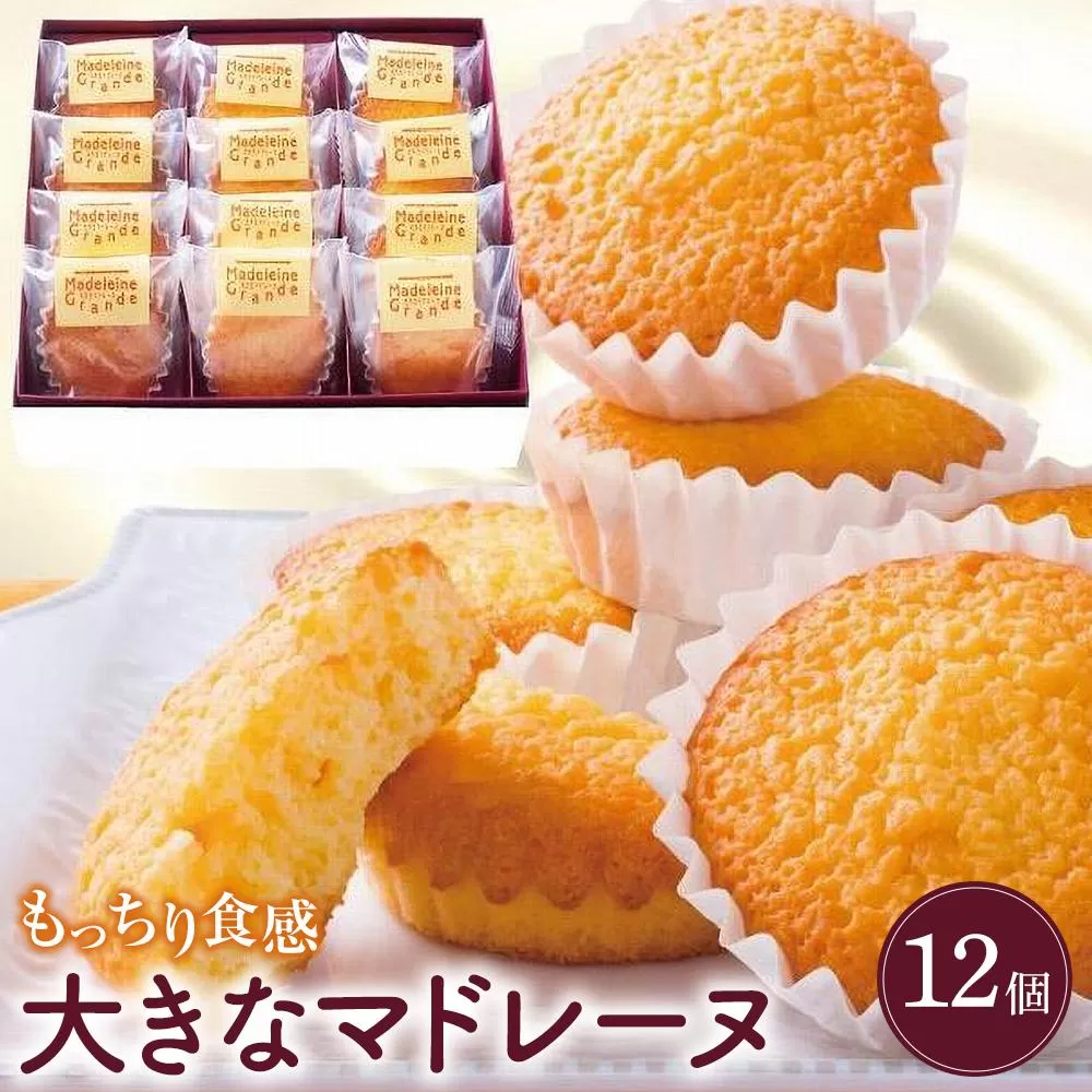 大きなマドレーヌ　12個