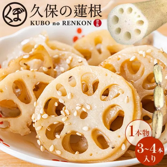 蓮根 1本物 3～4本入り