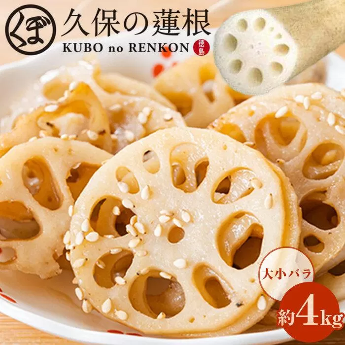 大小バラ 蓮根 約4kg