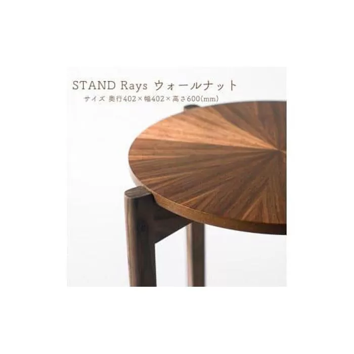 STAND Rays ウォールナット