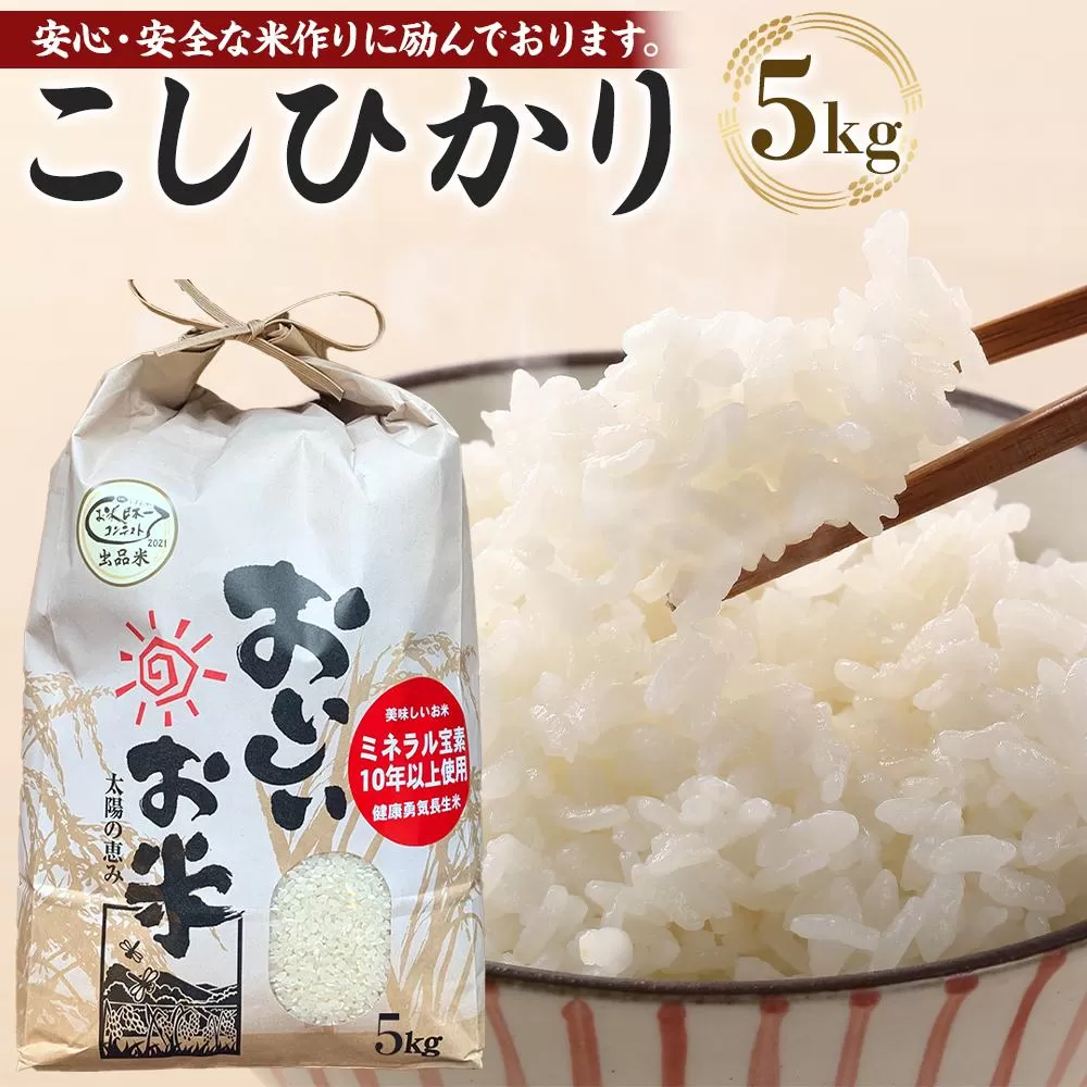 【令和6年産新米】こしひかり 5kg（農薬・化学肥料不要）9月より順次発送