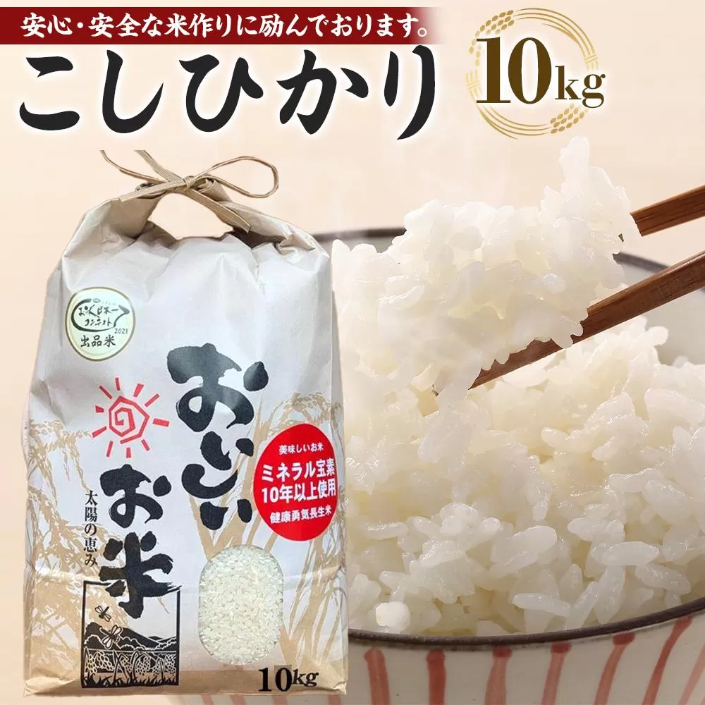 【令和7年産新米】こしひかり 10kg（農薬・化学肥料不要）9月より順次発送