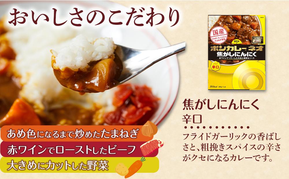 ボンカレーネオ 焦がしにんにくやみつきスパイシー 辛口 (200g