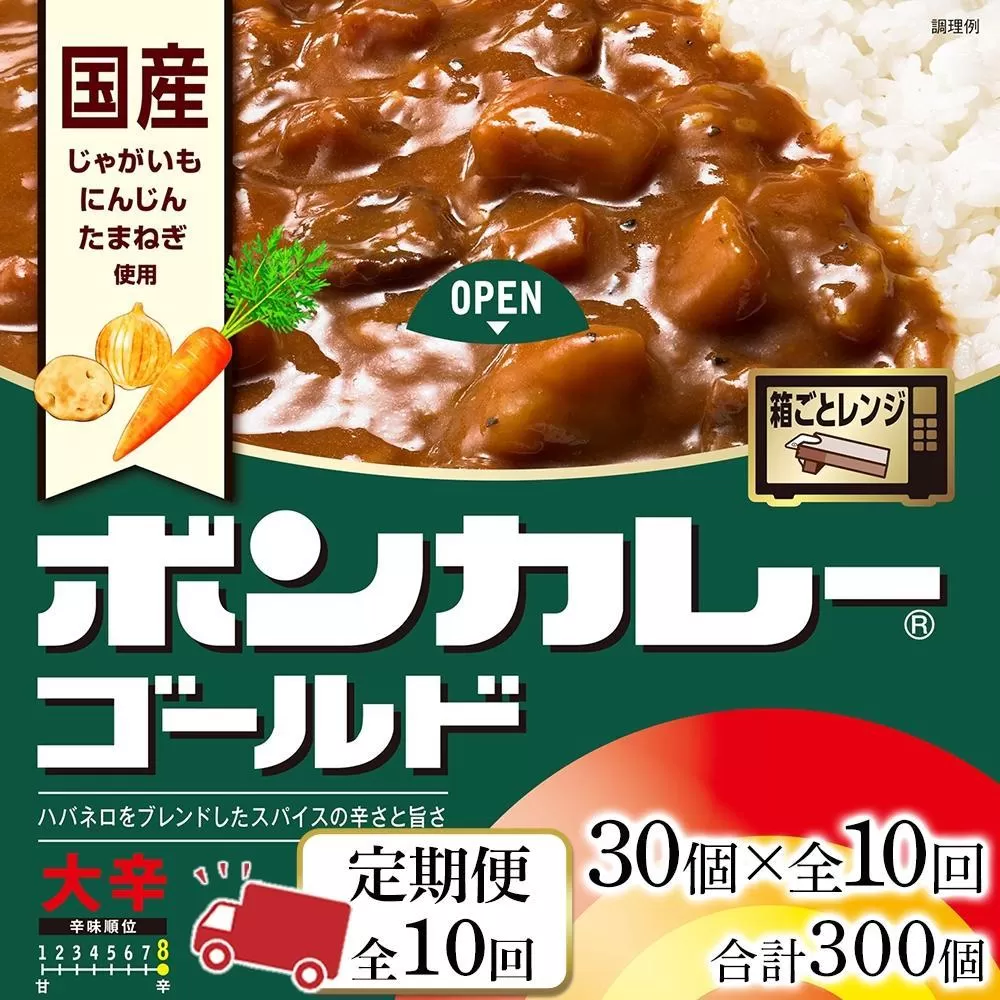 【定期便 全10回】ボンカレーゴールド（大辛）30個×10回　計300個