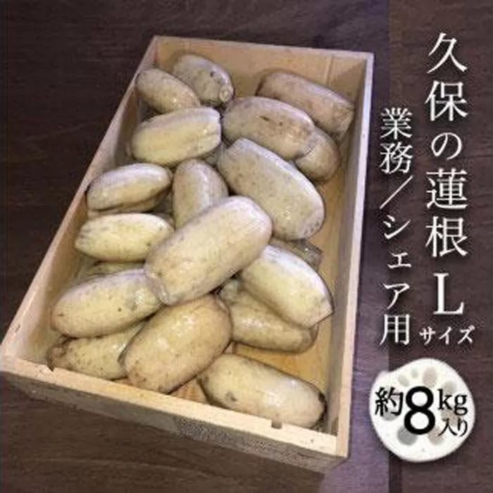 蓮根 業務・シェア用「Lサイズ」約8kg入