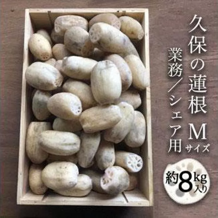 蓮根 業務・シェア用「Mサイズ」約8kg入