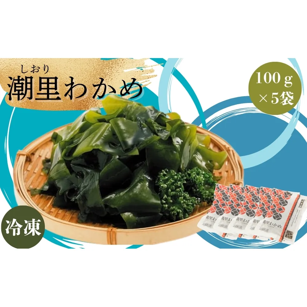 【農林水産大臣賞】 潮里わかめ 【塩分無添加】　鳴門わかめ　冷凍　酢の物　味噌汁　サラダ　カット　敬老の日　ワカメ
