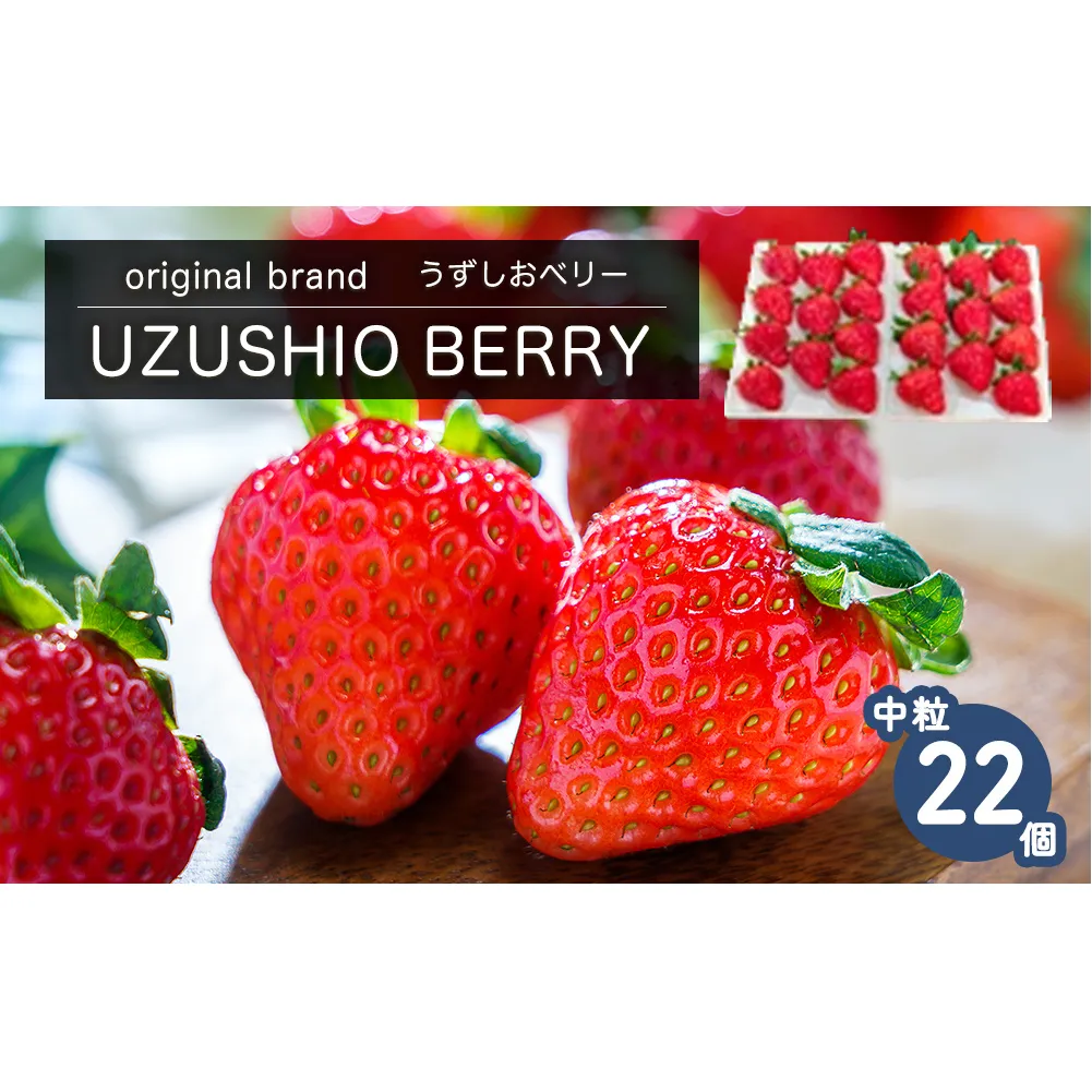 【朝摘みをお届け！】【2025年12月中旬頃より順次発送】 フルーツガーデンやまがたのいちご「うずしおベリー」中粒22個 【数量限定】 いちご フルーツ 果物 苺 イチゴ 旬の果物  鳴門のいちご